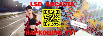 шишки Аргун