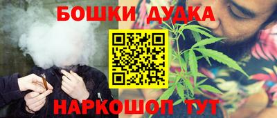 шишки Аргун