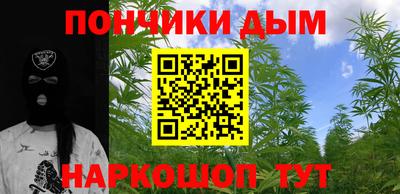 шишки Аргун