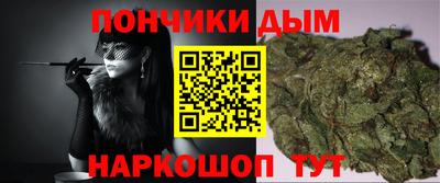шишки Аргун