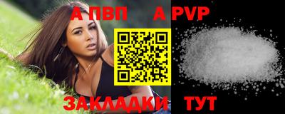 шишки Аргун