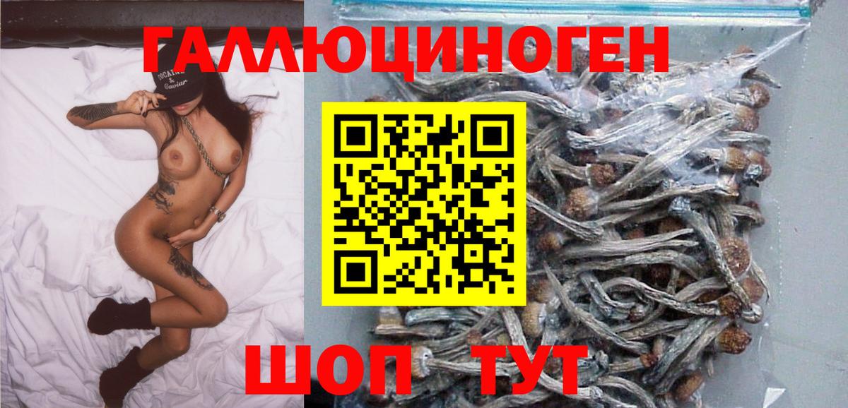 Галлюциногенные грибы GOLDEN TEACHER Вышний Волочёк