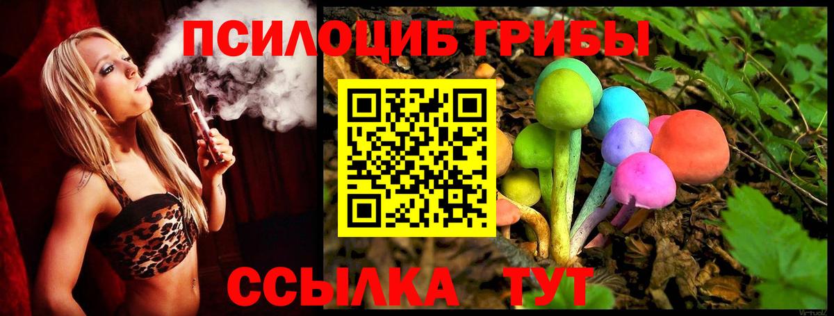 Вышний Волочёк  Галлюциногенные грибы MAGIC MUSHROOMS  Вход с VPN 